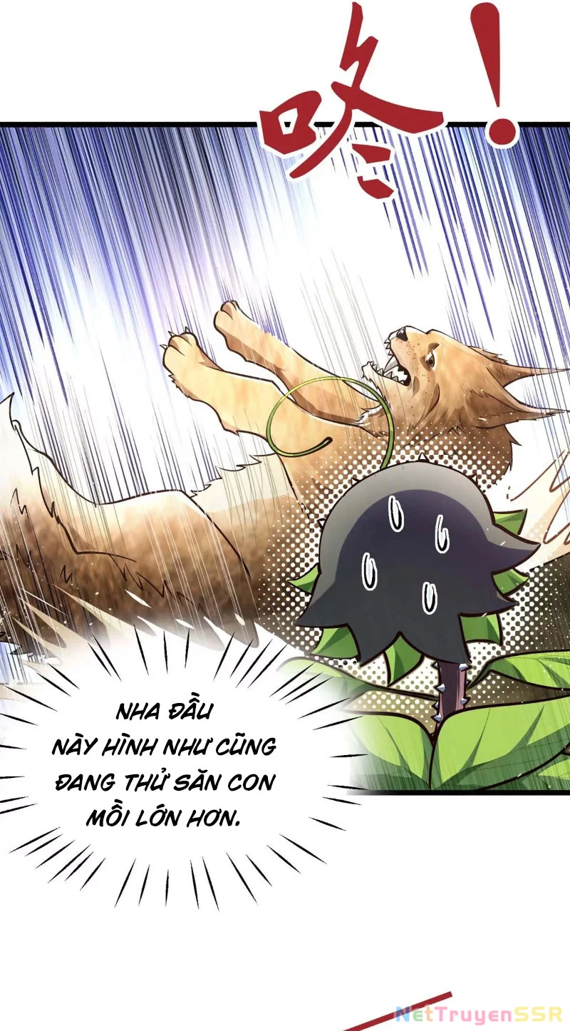 Thôn Phệ Đi, Đại Chùy Hoa Chapter 13 - Trang 2