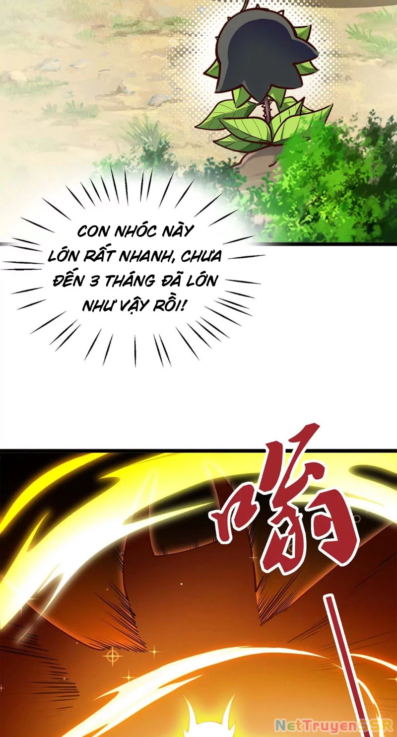 Thôn Phệ Đi, Đại Chùy Hoa Chapter 14 - Trang 2