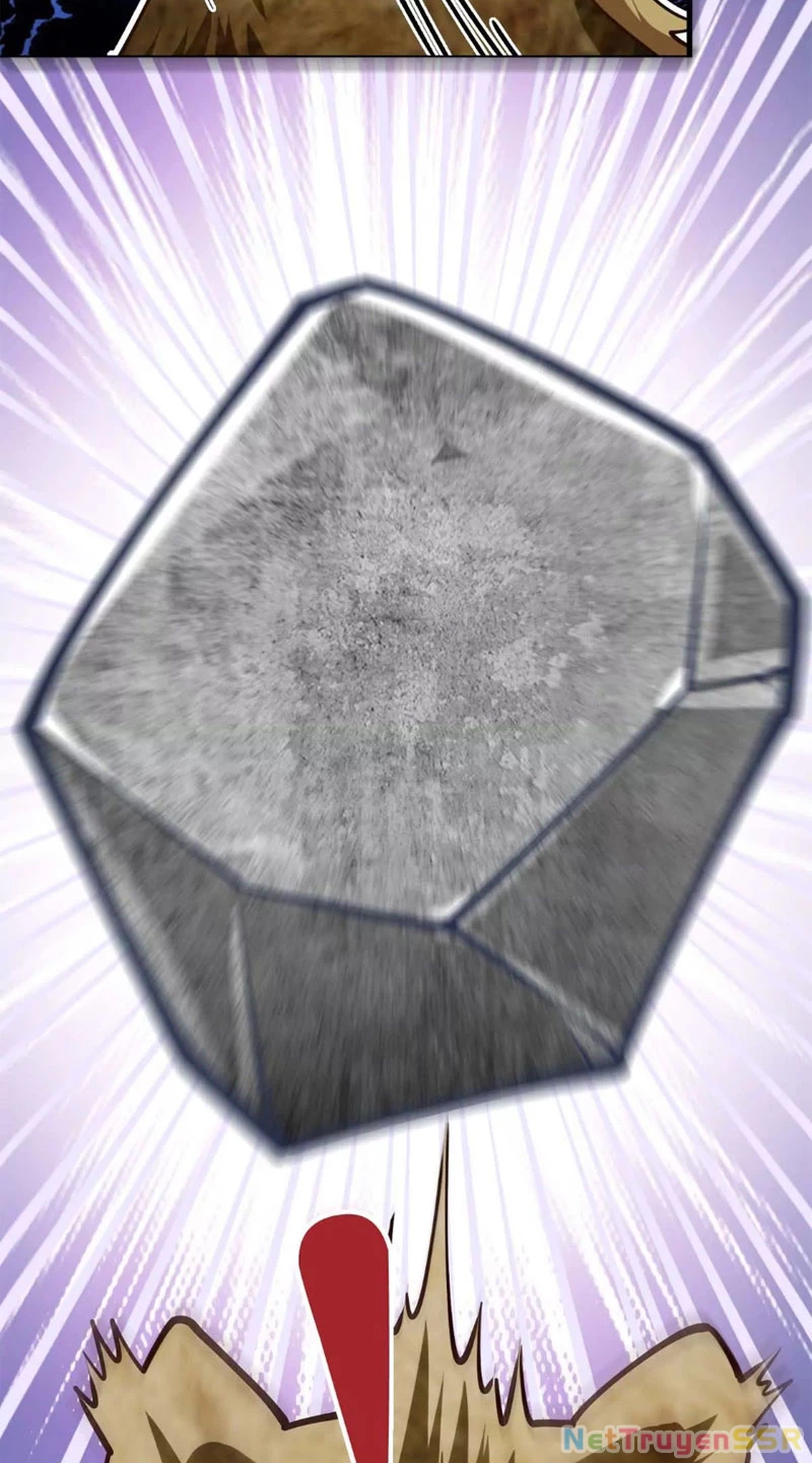 Thôn Phệ Đi, Đại Chùy Hoa Chapter 14 - Trang 2