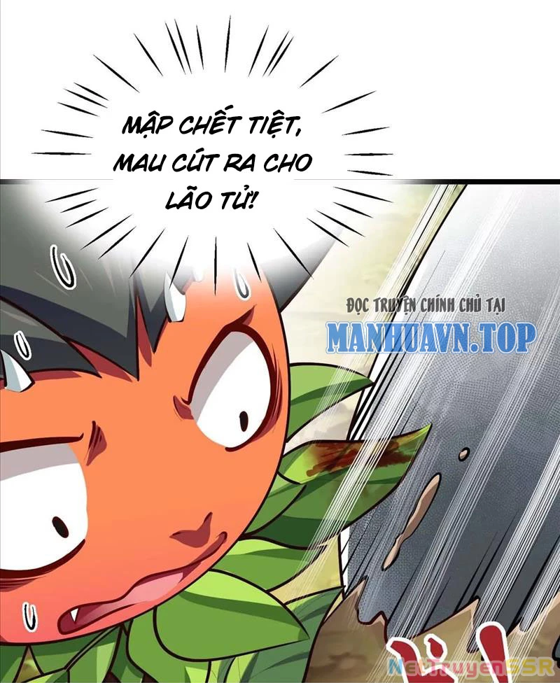 Thôn Phệ Đi, Đại Chùy Hoa Chapter 16 - Trang 2