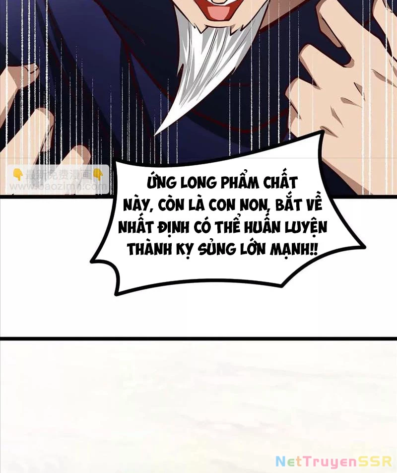 Thôn Phệ Đi, Đại Chùy Hoa Chapter 16 - Trang 2