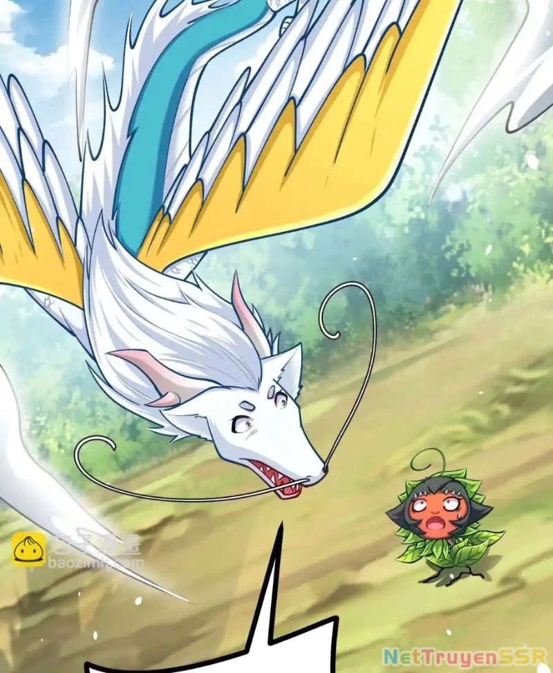 Thôn Phệ Đi, Đại Chùy Hoa Chapter 19 - Trang 2