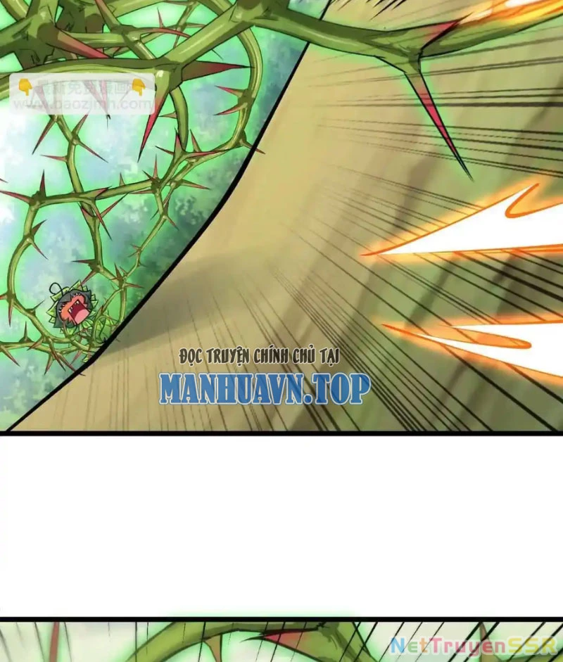 Thôn Phệ Đi, Đại Chùy Hoa Chapter 20 - Trang 2