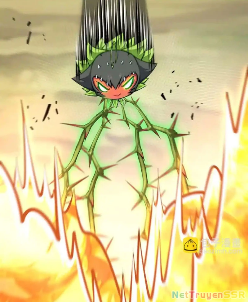 Thôn Phệ Đi, Đại Chùy Hoa Chapter 20 - Trang 2