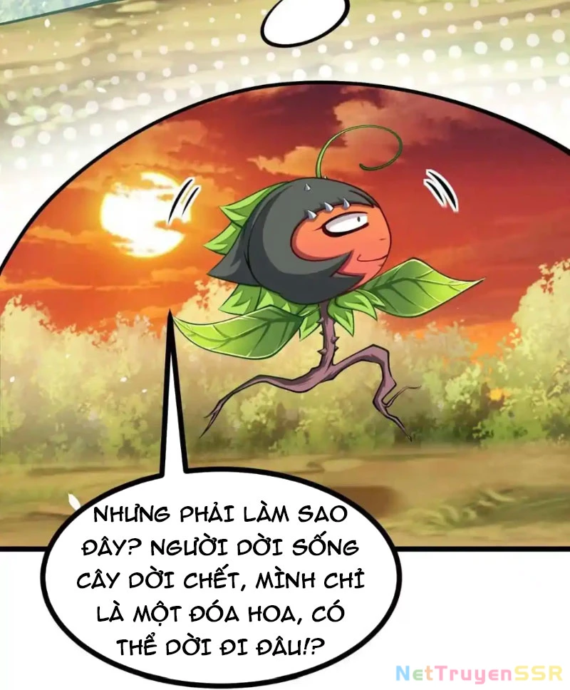 Thôn Phệ Đi, Đại Chùy Hoa Chapter 20 - Trang 2