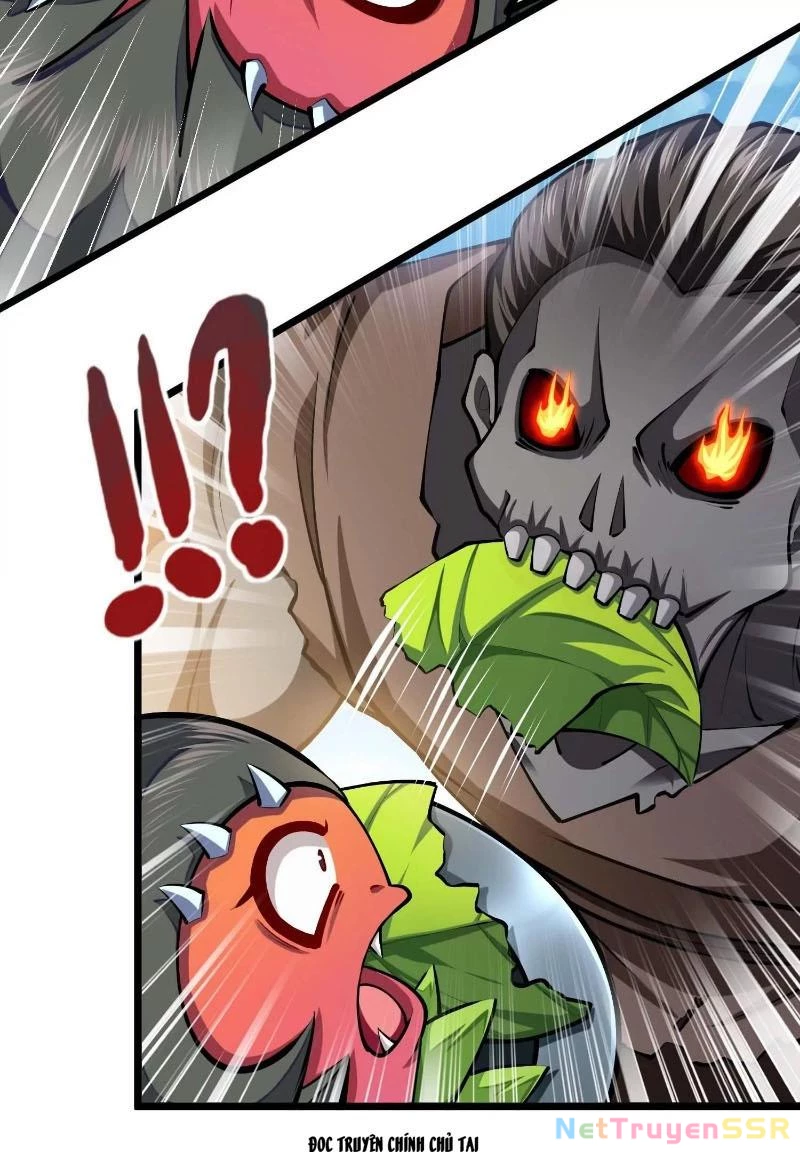 Thôn Phệ Đi, Đại Chùy Hoa Chapter 27 - Trang 2