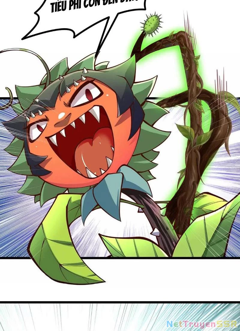 Thôn Phệ Đi, Đại Chùy Hoa Chapter 4 - Trang 2