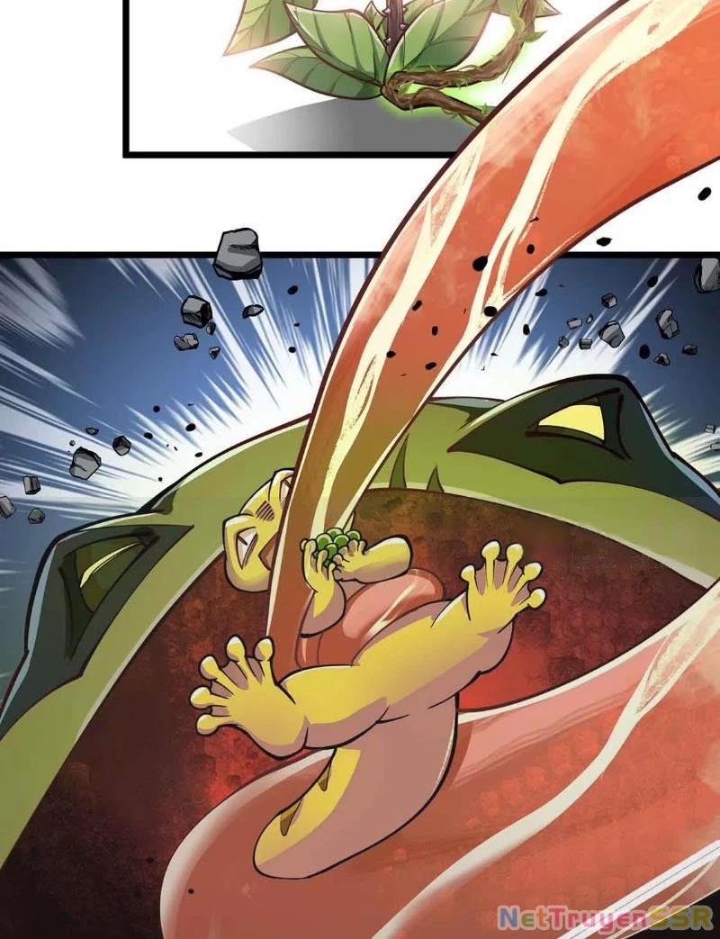 Thôn Phệ Đi, Đại Chùy Hoa Chapter 4 - Trang 2