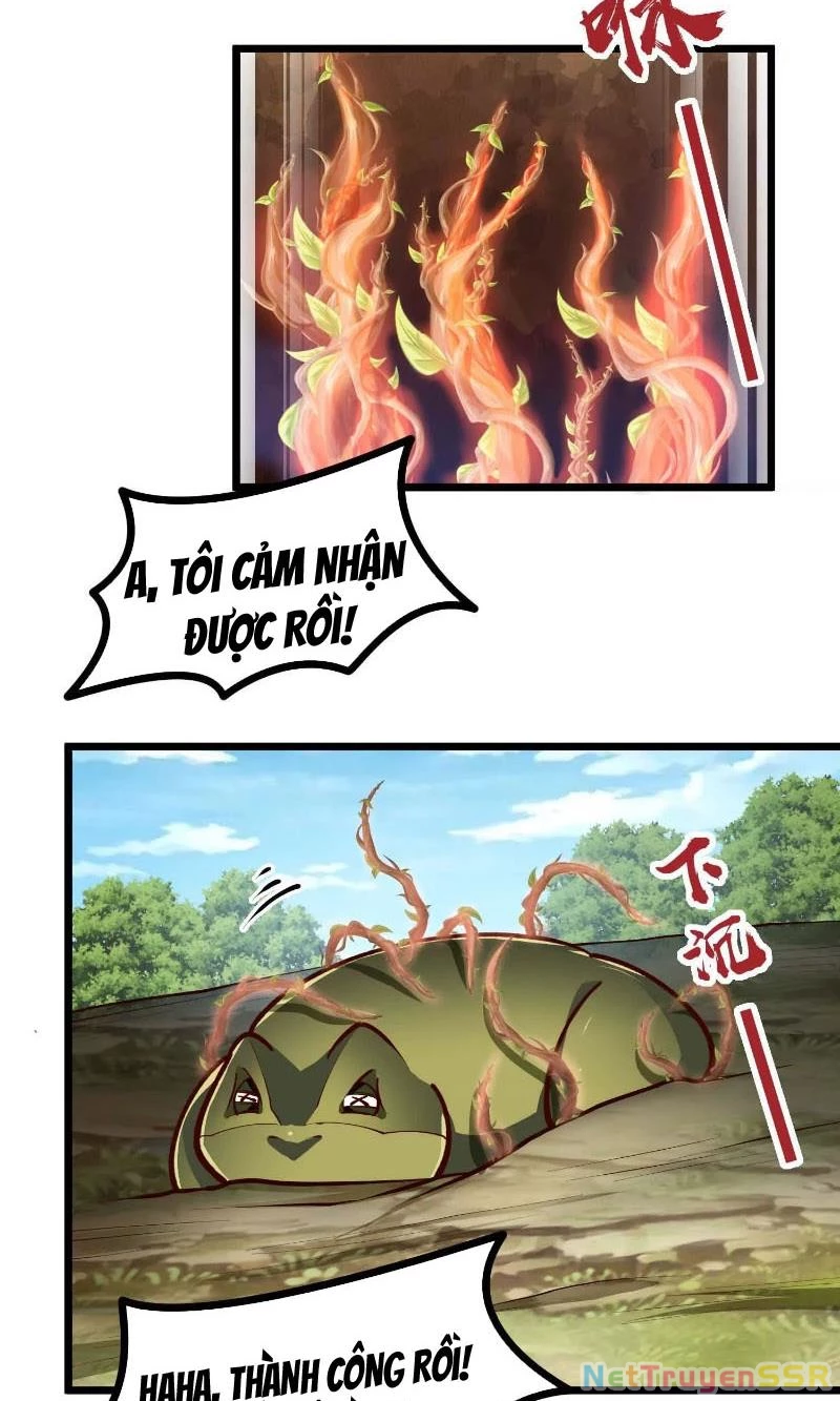 Thôn Phệ Đi, Đại Chùy Hoa Chapter 7 - Trang 2