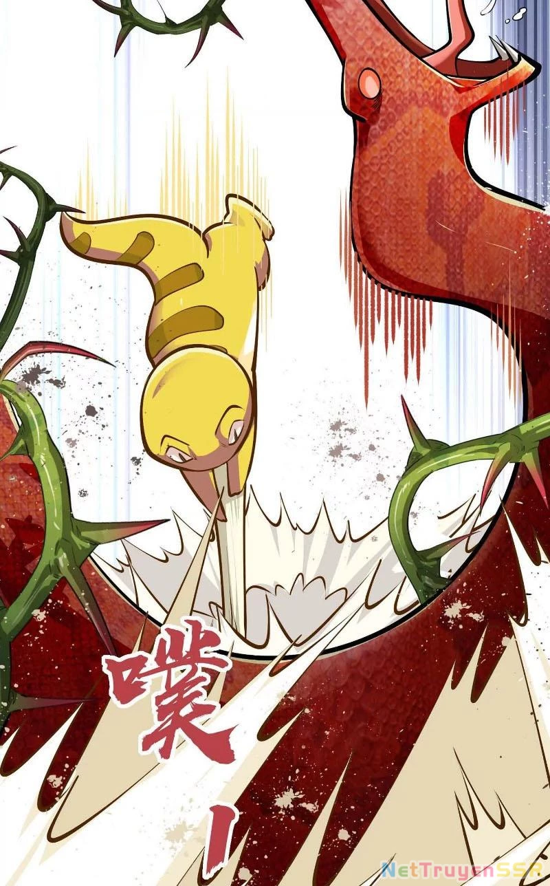 Thôn Phệ Đi, Đại Chùy Hoa Chapter 7 - Trang 2