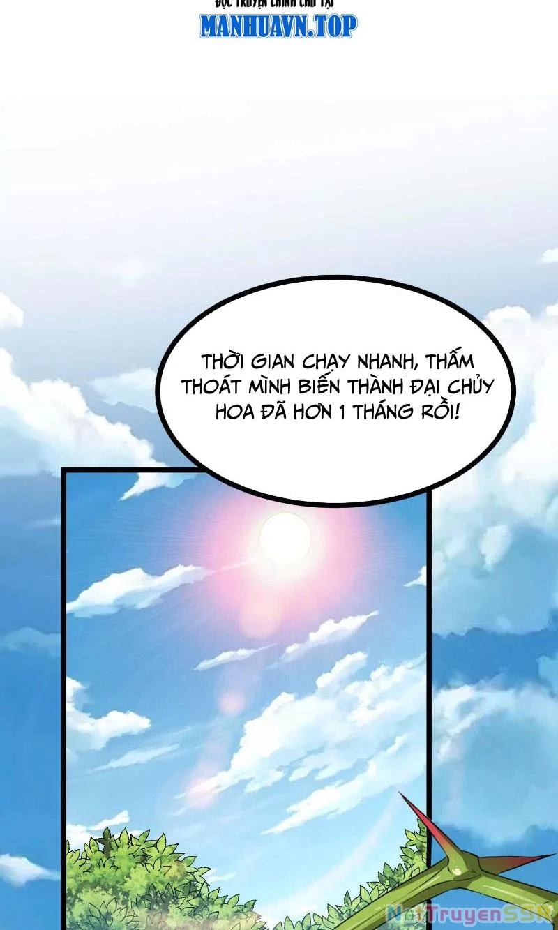 Thôn Phệ Đi, Đại Chùy Hoa Chapter 7 - Trang 2