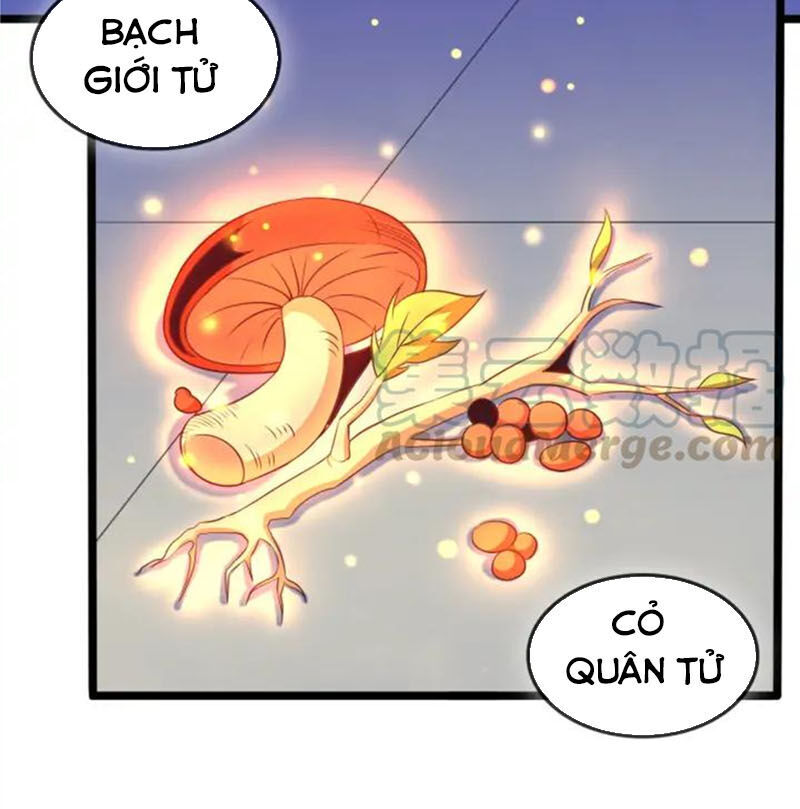 Thôn Phệ Một Thế Giới Tu Tiên Chapter 51 - Trang 2