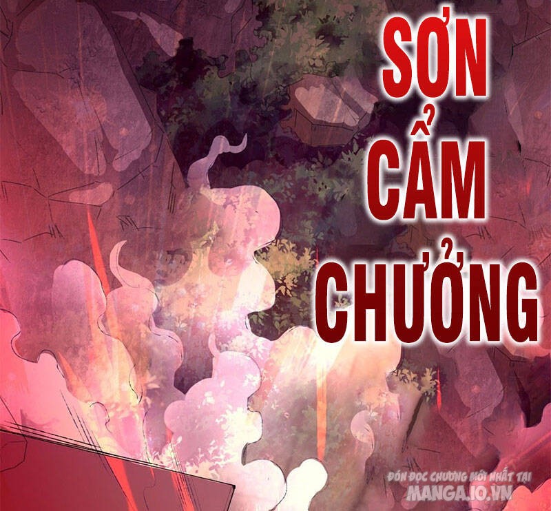 Thôn Phệ Vô Hạn Chapter 12 - Trang 2