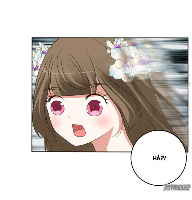 Thông Linh Phi Chapter 111 - Trang 2