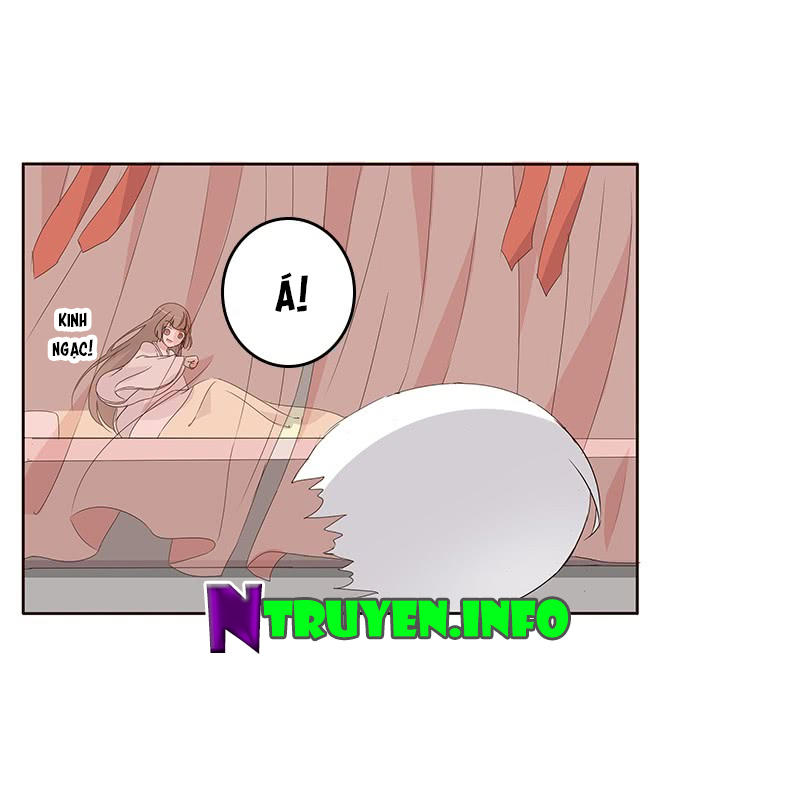 Thông Linh Phi Chapter 163 - Trang 2