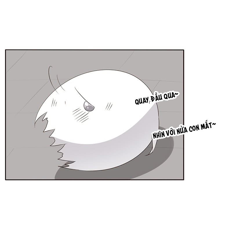 Thông Linh Phi Chapter 163 - Trang 2