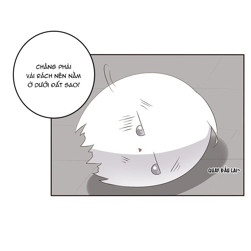 Thông Linh Phi Chapter 163 - Trang 2