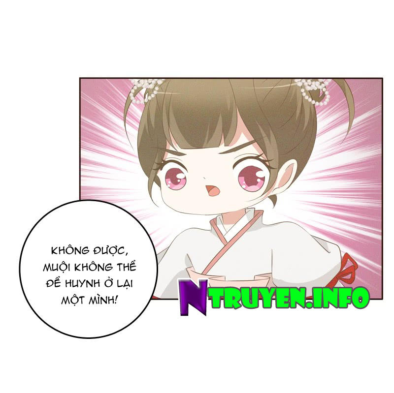 Thông Linh Phi Chapter 169 - Trang 2