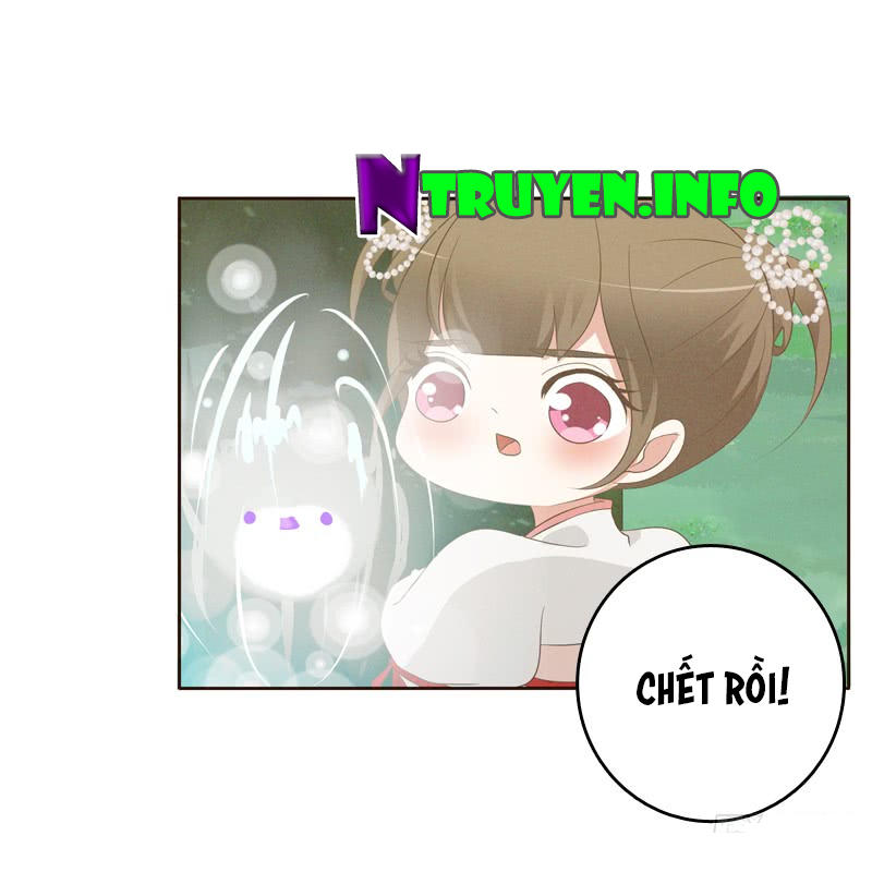 Thông Linh Phi Chapter 169 - Trang 2