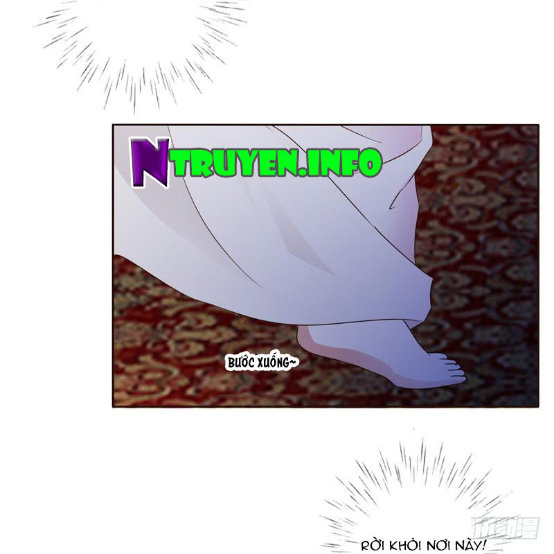 Thông Linh Phi Chapter 186 - Trang 2