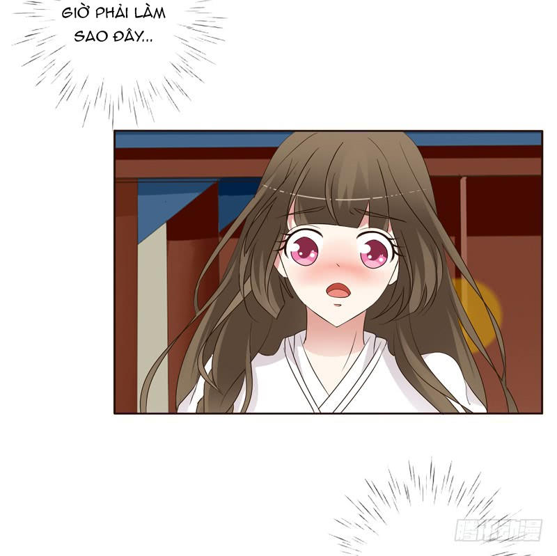 Thông Linh Phi Chapter 194 - Trang 2