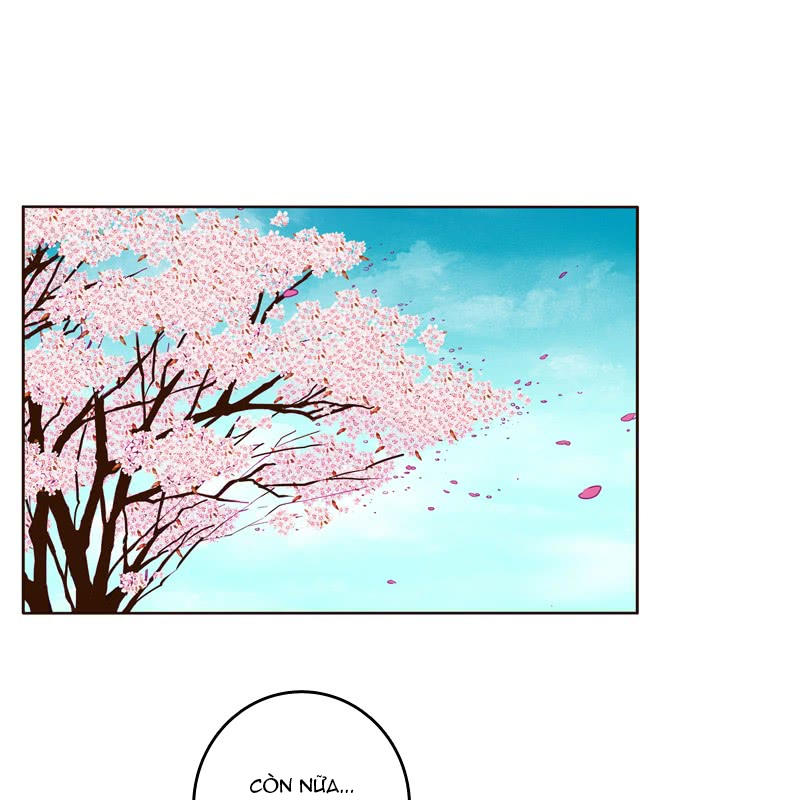 Thông Linh Phi Chapter 199.5 - Trang 2