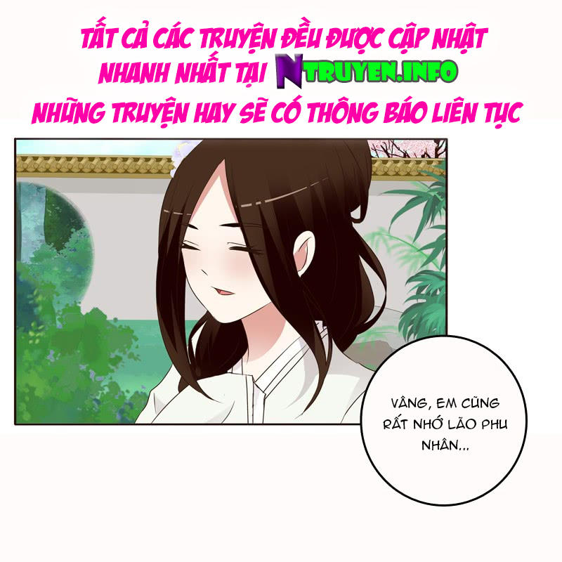 Thông Linh Phi Chapter 203 - Trang 2