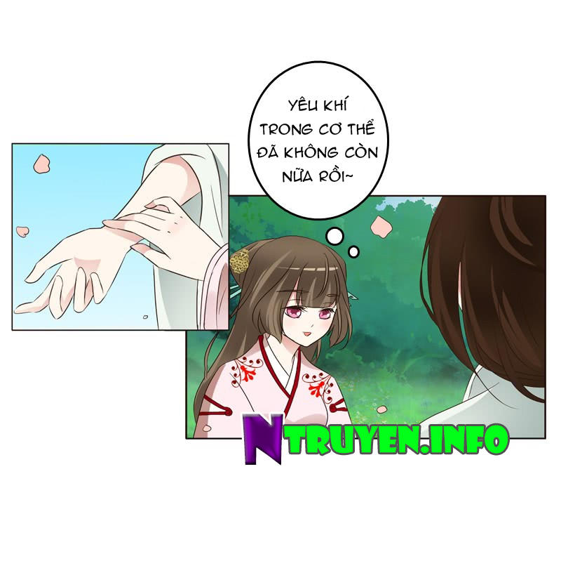 Thông Linh Phi Chapter 207 - Trang 2