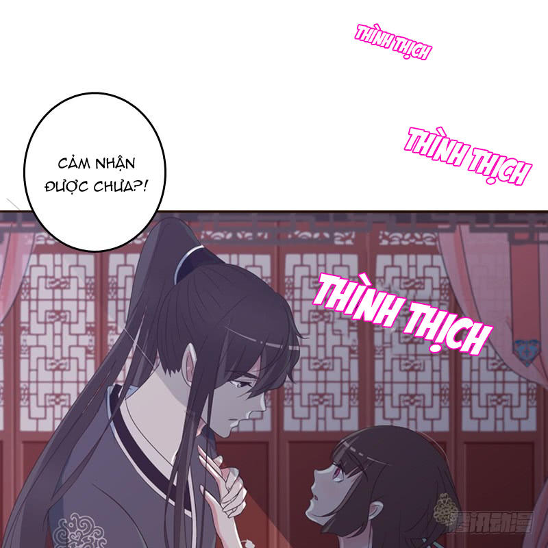Thông Linh Phi Chapter 209 - Trang 2