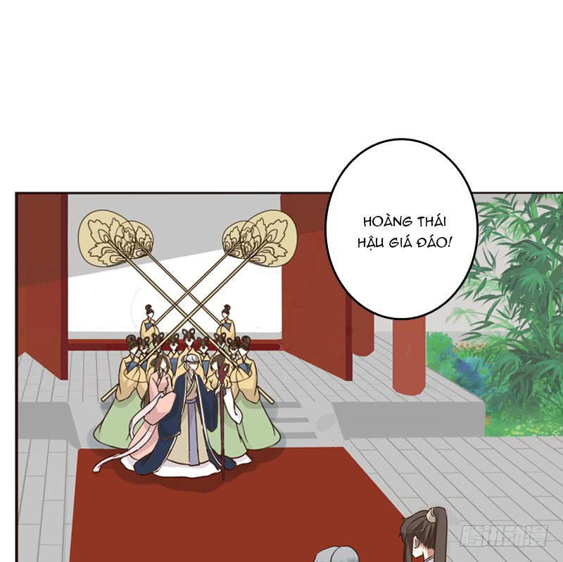 Thông Linh Phi Chapter 217 - Trang 2