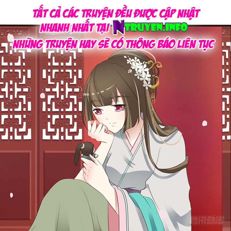 Thông Linh Phi Chapter 224.5 - Trang 2