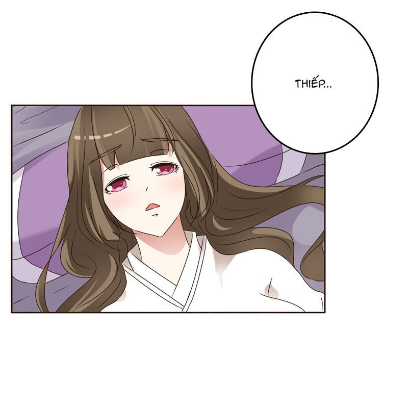 Thông Linh Phi Chapter 231 - Trang 2