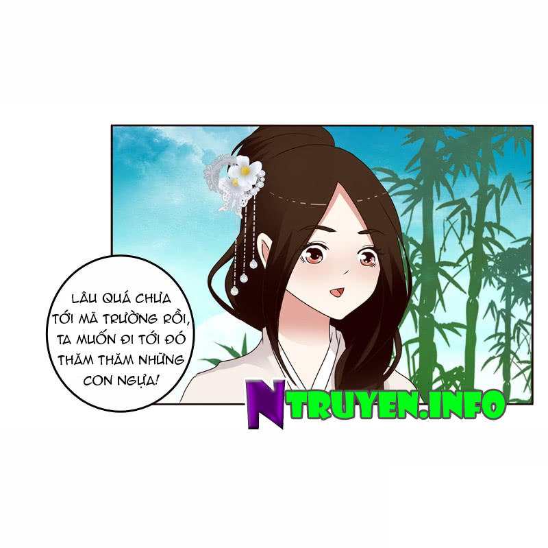 Thông Linh Phi Chapter 249 - Trang 2