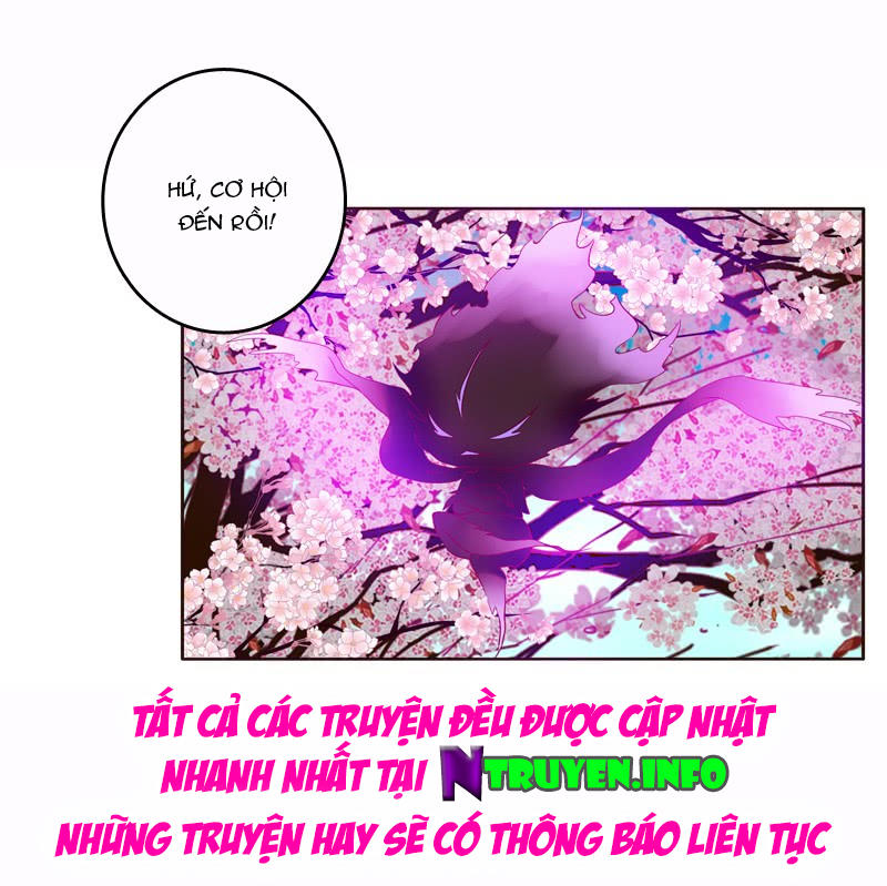 Thông Linh Phi Chapter 251 - Trang 2