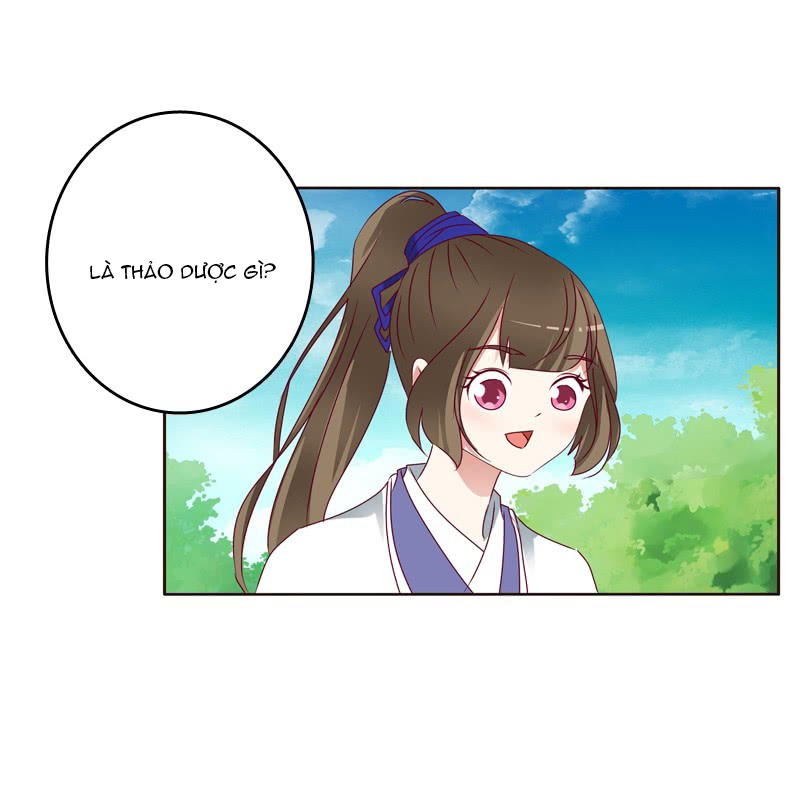 Thông Linh Phi Chapter 259 - Trang 2