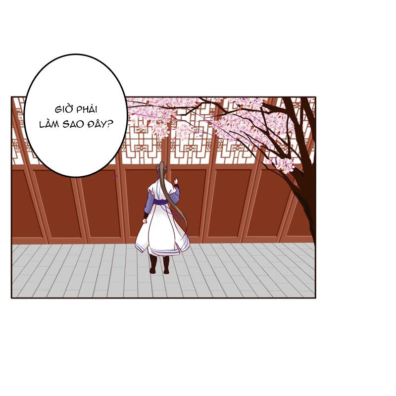 Thông Linh Phi Chapter 260 - Trang 2