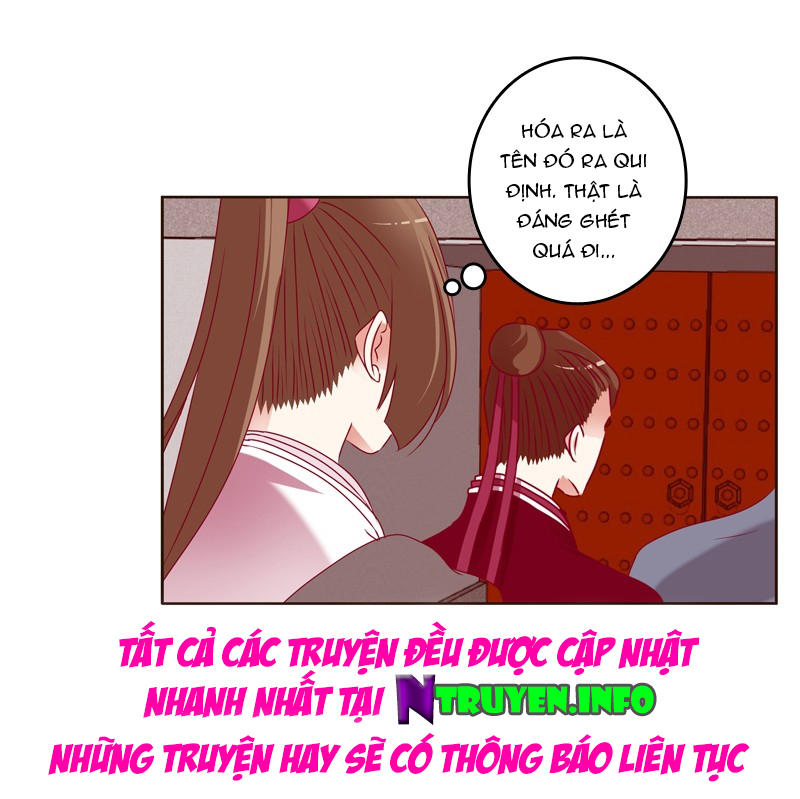 Thông Linh Phi Chapter 266 - Trang 2