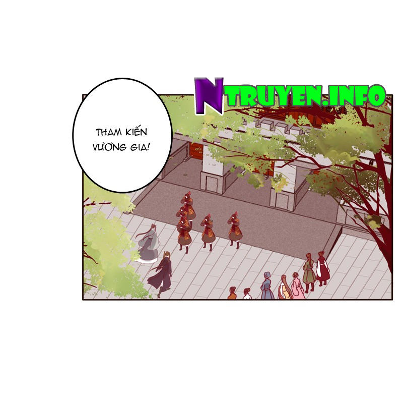 Thông Linh Phi Chapter 267 - Trang 2