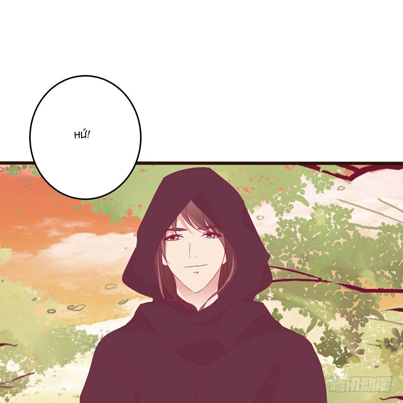 Thông Linh Phi Chapter 269 - Trang 2