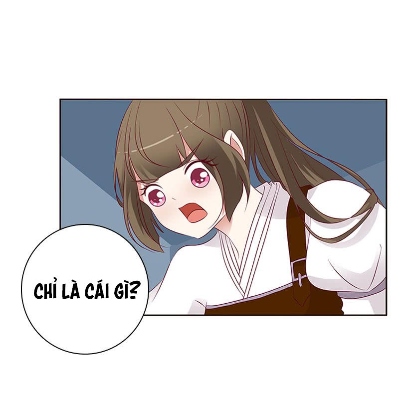 Thông Linh Phi Chapter 273 - Trang 2