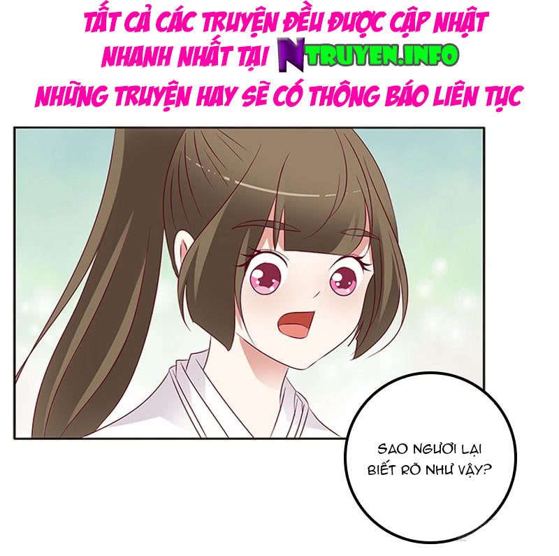 Thông Linh Phi Chapter 274 - Trang 2