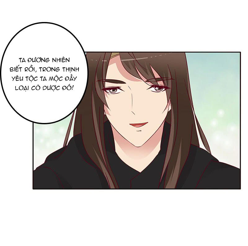 Thông Linh Phi Chapter 274 - Trang 2