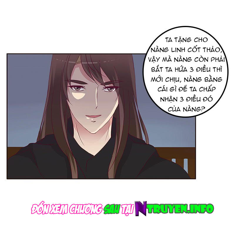 Thông Linh Phi Chapter 274 - Trang 2