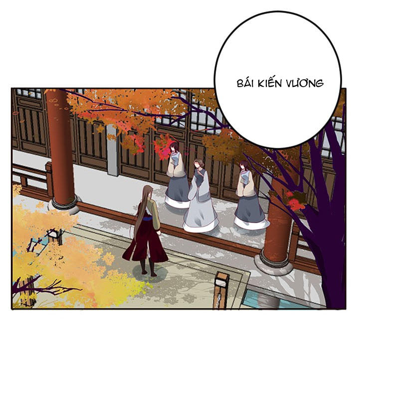 Thông Linh Phi Chapter 281 - Trang 2