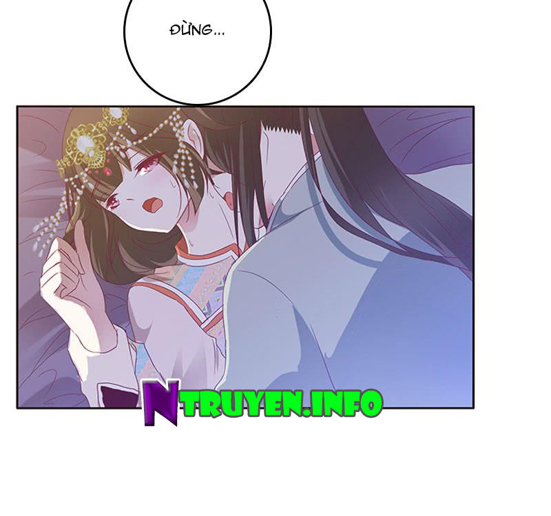Thông Linh Phi Chapter 286 - Trang 2