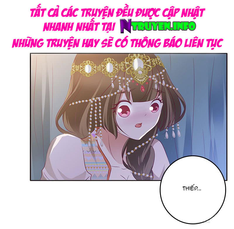 Thông Linh Phi Chapter 288 - Trang 2