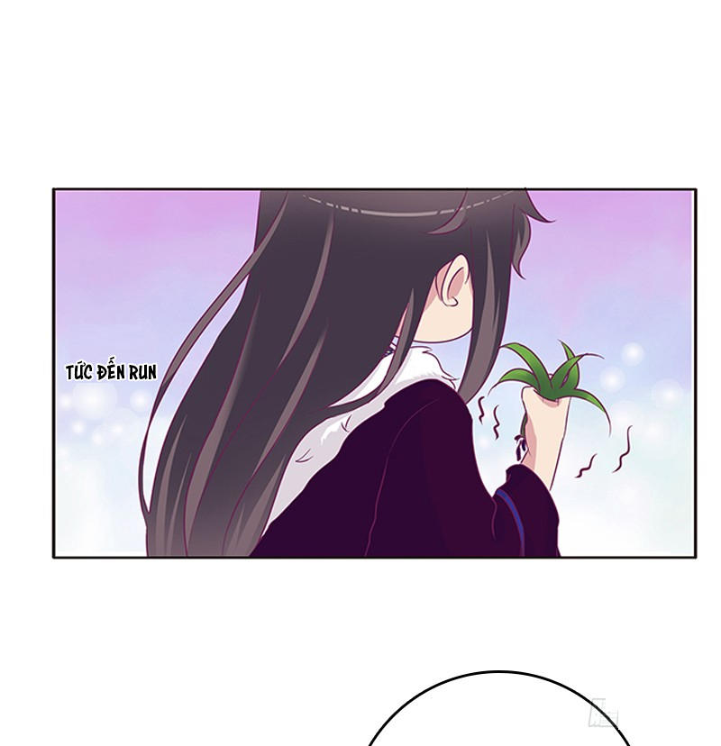 Thông Linh Phi Chapter 296 - Trang 2