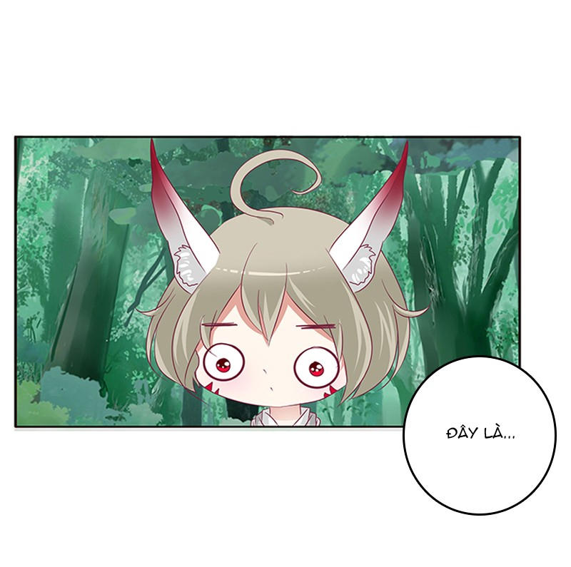 Thông Linh Phi Chapter 315 - Trang 2