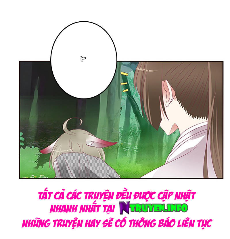 Thông Linh Phi Chapter 317 - Trang 2