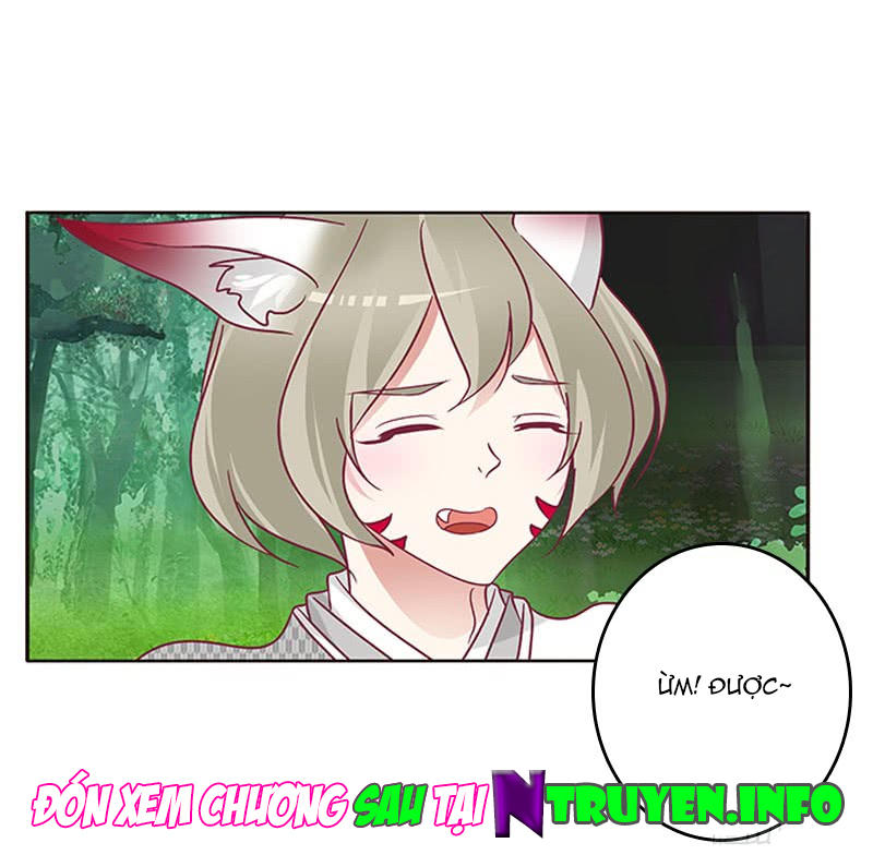 Thông Linh Phi Chapter 317 - Trang 2